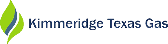 logo dark